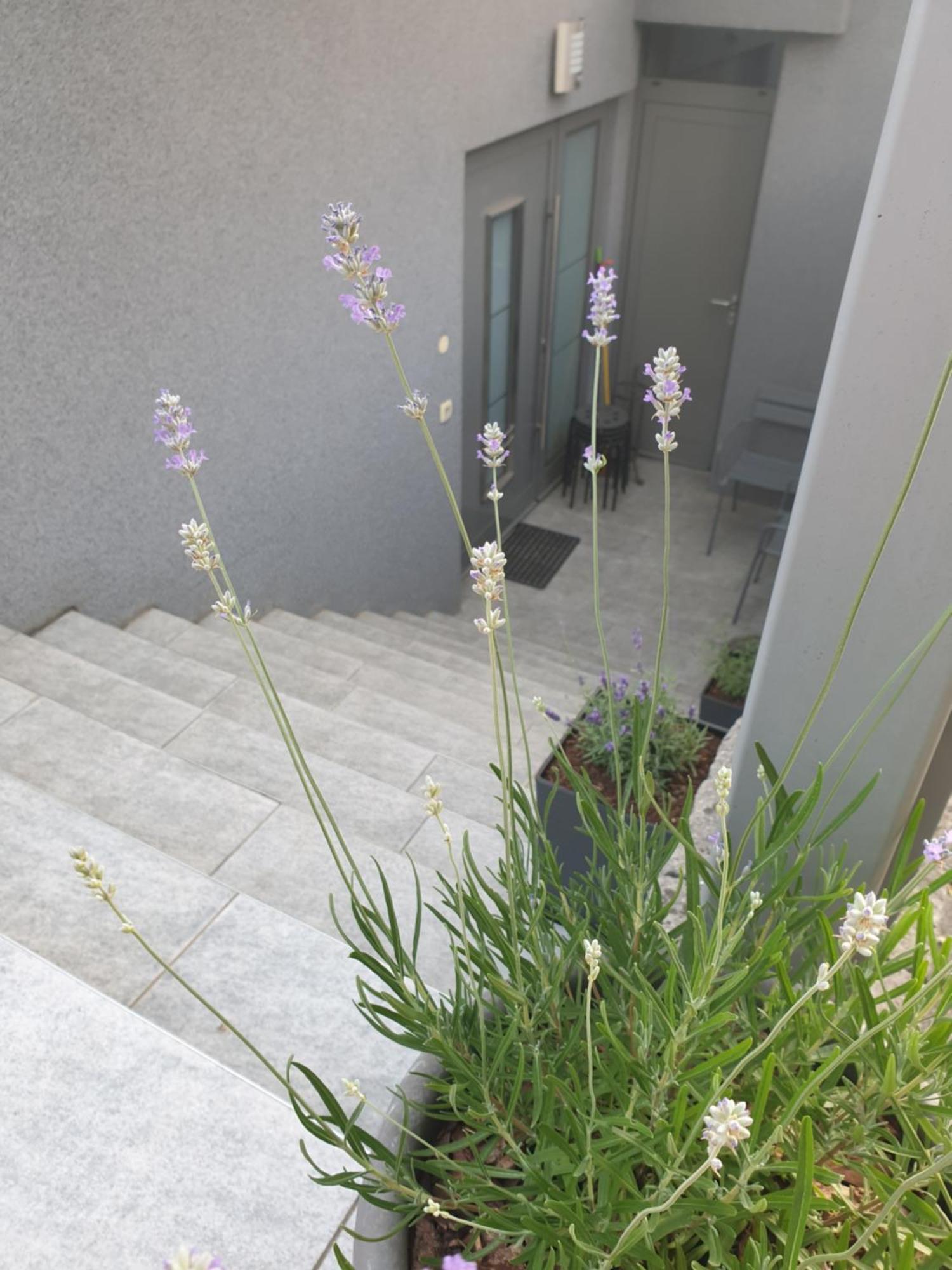 Apartment Emma Ljubljana - Free Parking, Ac, Wifi Rom bilde