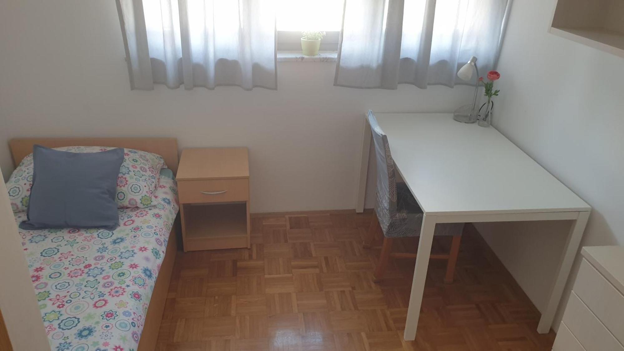 Apartment Emma Ljubljana - Free Parking, Ac, Wifi Eksteriør bilde